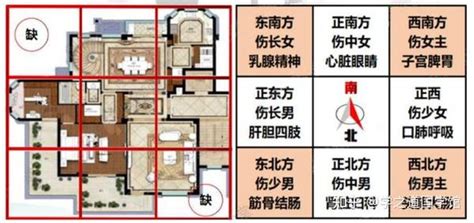 饿木命人佩戴小叶紫檀手串好不好,第4张 饿木命人佩戴小叶紫檀手串好不好,第4张